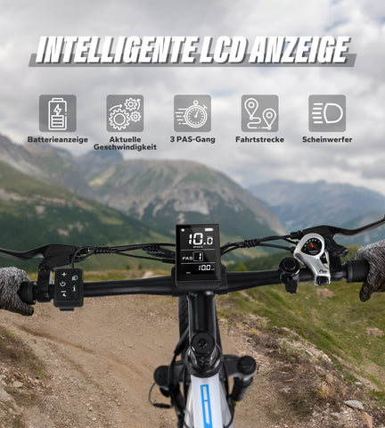 Fat Tire E-Mountainbike Pedelec Bicicletta elettrica fuoristrada con sospensione completa 90 Nm Batteria rimovibile a lungo raggio - Varun Ballistic-White 26'' E-Bike