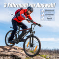 Mountain bike elettrica Varun Altus 24